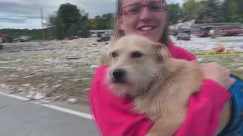Jaime Green finds one of her lost pets after Farmi...