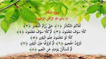 سورة التكاثر تعليم الأطفال المنشاوي مكررة 7 مرات