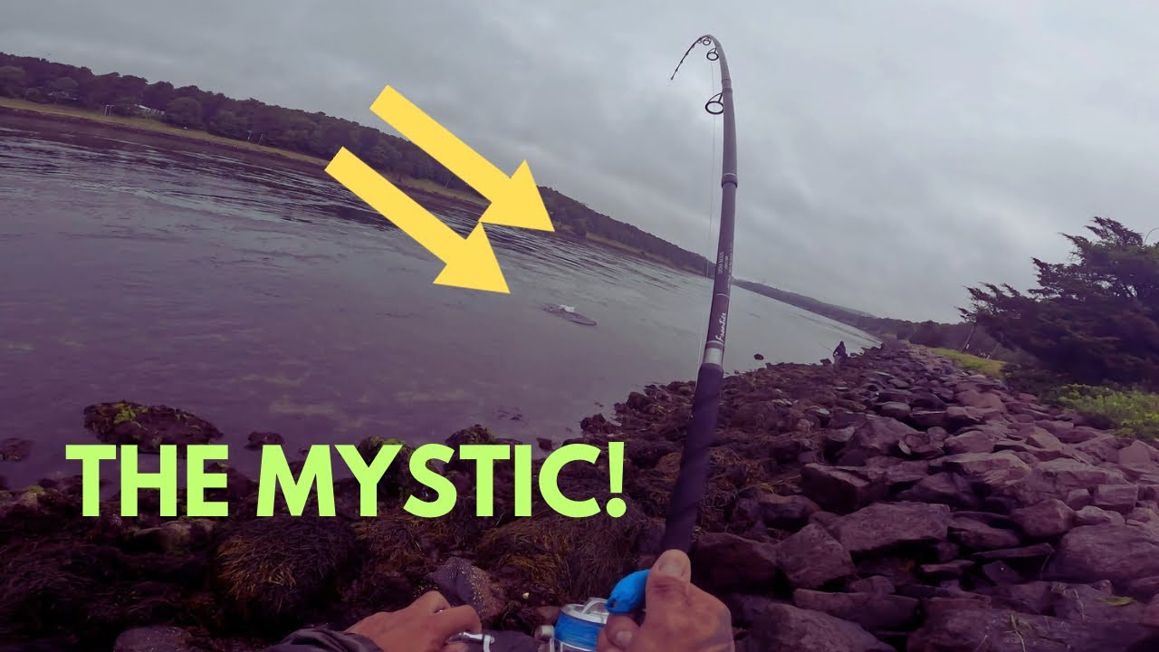 Gliders catch BIG FISH at The Cape Cod Canal #stripedbass #fishing