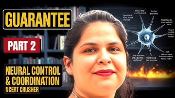 NEURAL CONTROL AND COORDINATION || CLASS 11 || PART 2 || NEET 2026