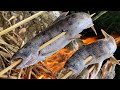 釣ったヤマメを焚火で塩焼きにして八海山をキメるだけの動画