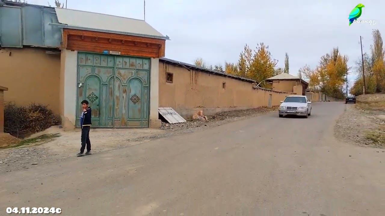 д.Суркат 04.11.24