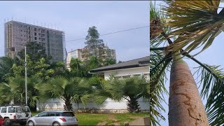 LE BOULEVARD LE PLUS CALME DE KINSHASA | Congo Kinshasa Vlog 2021 | Boulevard Tshatshi
