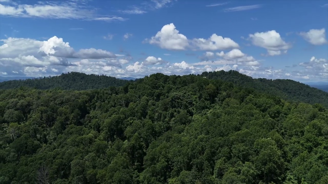 Buncombe County, North Carolina Commercial Property  |  70 Acres Presented by National Land Realty