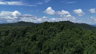 Buncombe County, North Carolina Commercial Property  |  70 Acres Presented by National Land Realty