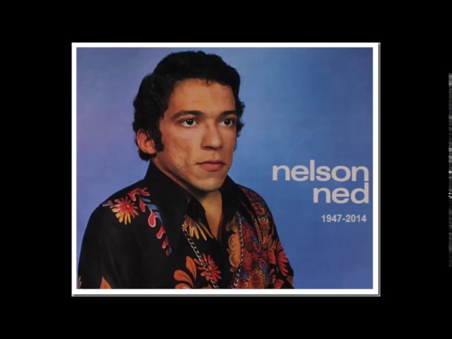 Nelson Ned - Brigas