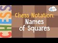 Chess Fundamentals and Notation