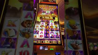 Rare Buffalo Stampede #jackpothandpay #jackpot #casino #slots #bigwin #handpay #winning #win #wow
