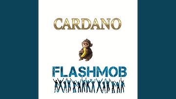 Cardano Flashmob