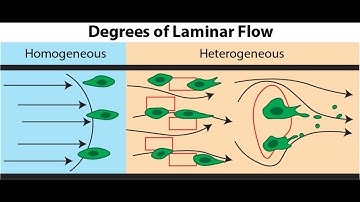 ANU O-BIG video 2022