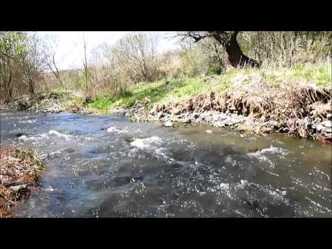 Видео: Защо ясписът е национален парк?