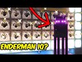 Testing Enderman IQ To See How Smart They Are