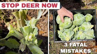 Deer Ate HALF Our Cabbage—3 Mistakes Every Homesteader Must Avoid