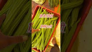 शेतकरी बाजार लातूर #farmersmarket #shetkribajarlatur #dodka#bhajiwale #viralreelsvideo,