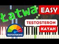 Capture de la vidéo 🎹 Testosteron (Kayah) - Piano Tutorial (Łatwa Wersja) 🎵 Nuty W Opisie 🎼