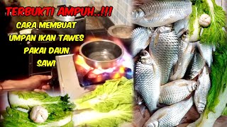 umpan jitu ikan tawes umpan daun sawi || langsung tes di spot pemancingan