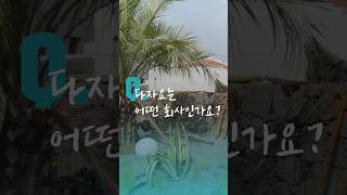 빈집은 문제일까, 가능성일까?