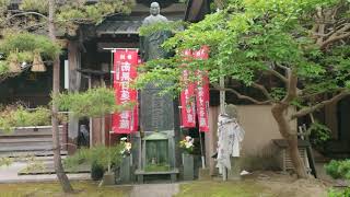 【4KHDR】日本銅像探偵団紀行 加藤清正公と日蓮上人〔佐賀県・唐津市〕 【4KHDR】日本銅像探偵団紀行 加藤清正公と日蓮上人〔佐賀県・唐津市〕