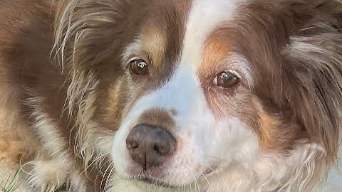 Time lapse of full move with 26 foot truck