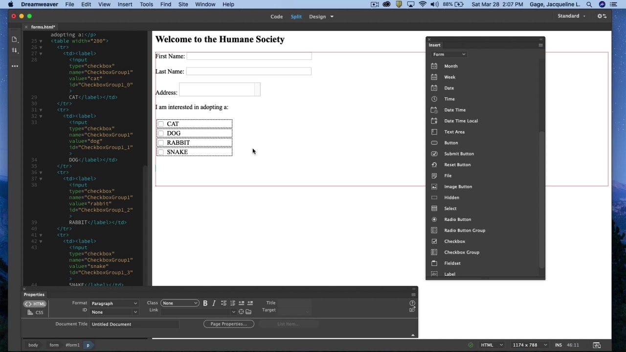 Update New Dreamweaver CC 2020 - Forms elements Part1