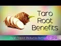 Taro Root Benefits And Uses 