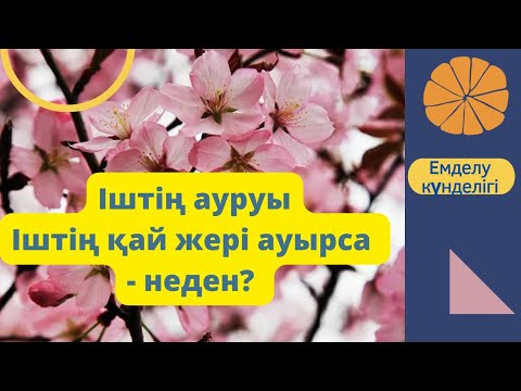 Іш неден ауырады? Іш ауру себептері