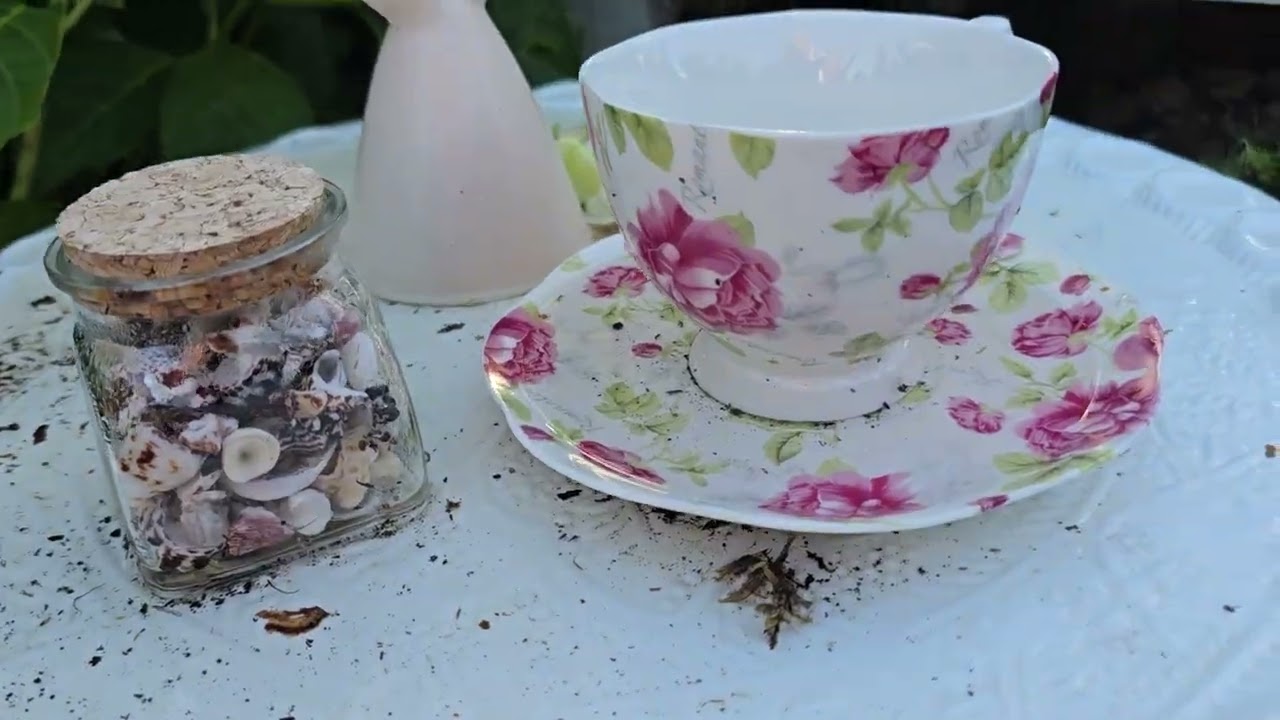 Частный сад, сад непрерывного цветения.  В гостях у Татьяны.