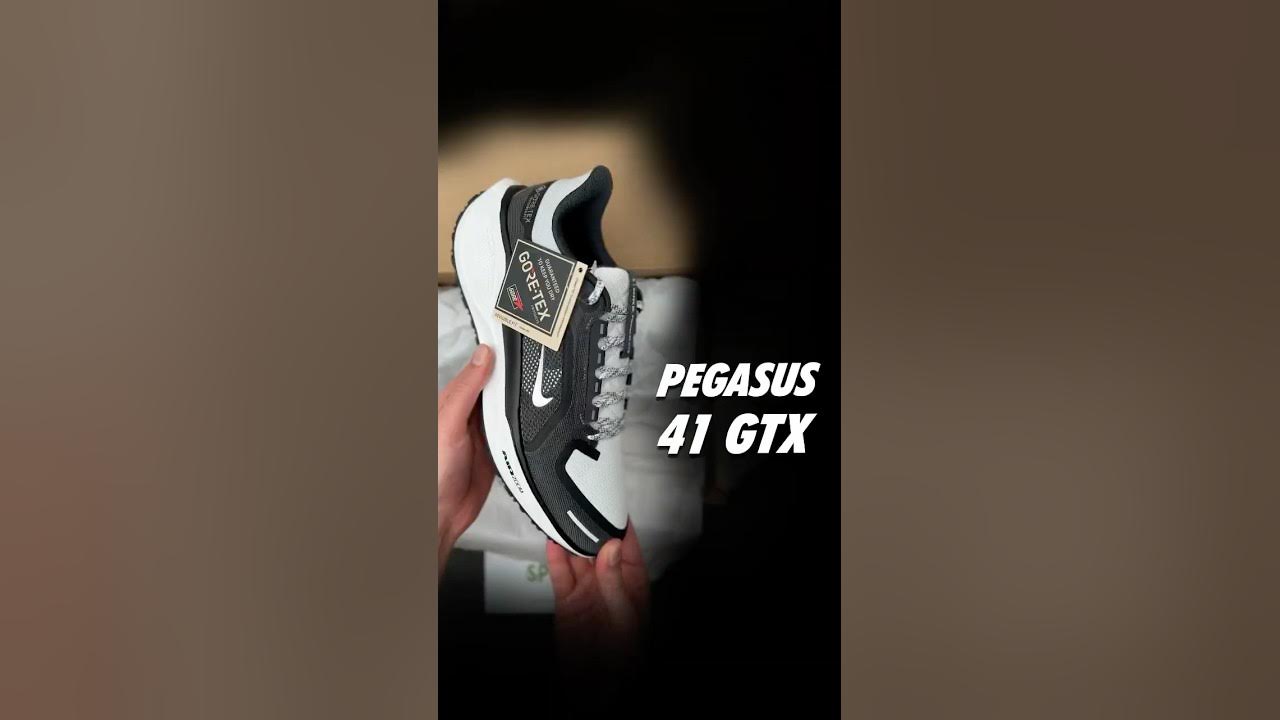 Nike Air Zoom Pegasus 41 GTX Nike Air Zoom Pegasus 41 GTX