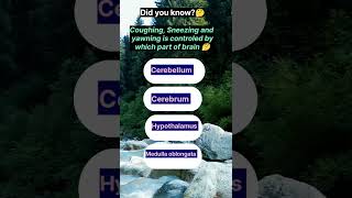 Quick quiz,comment your answer!#medical#biology#brainscience#humanbodyfacts#neet#quiz#mdcat#doctor