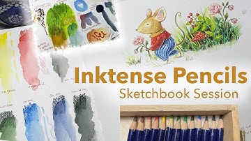 How I use Inktense Pencils | Tips & Techniques Plus Creating an Illustration