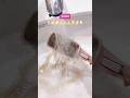 【ダイソーのエチケットブラシが掃除の“最強アイテム”だった】 #掃除術 #家事ラク