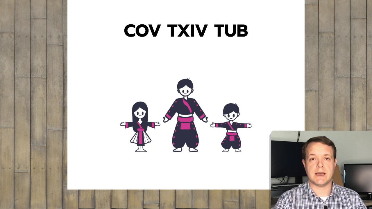 Study Hmong Idiom In Hmong Cov Txiv Tub Youtube