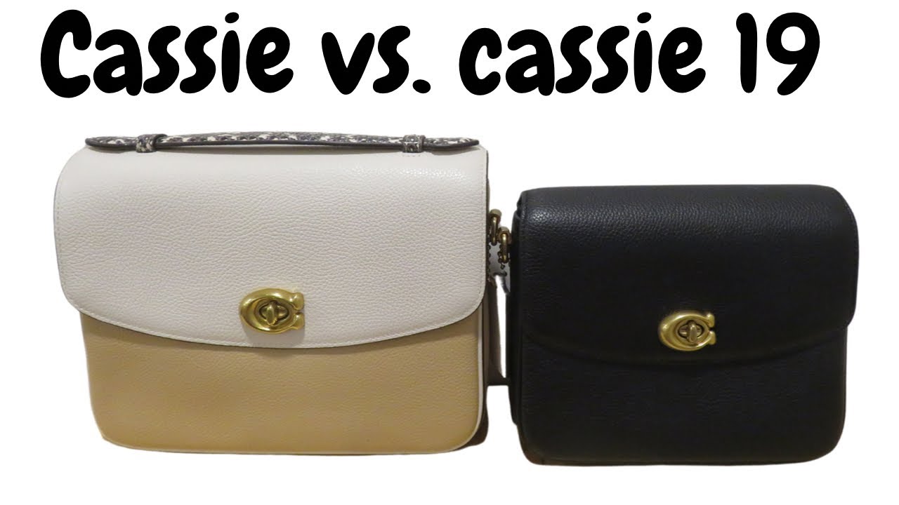 COACH CASSIE vs. COACH CASSIE 19 WHICH ONE I RECOMMEND//Mod Shots 