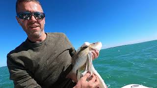 Catching Snapper in the Florida Keys by Uncle Jack's Outdoors 131 views 1 year ago 13 minutes, 59 seconds