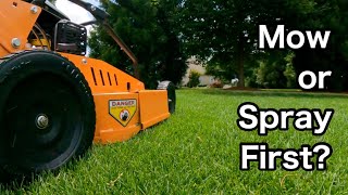Mow Lawn First or Spray Lawn First?