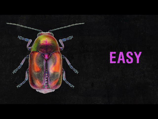 Rico Nasty - Easy (Official Audio)