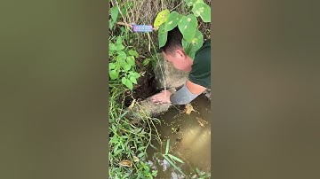 To overflow with wishes and desires