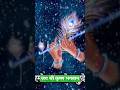 Jay Shri Krishna#bhaktishorts #bhajan #ytshorts #radhakrishna