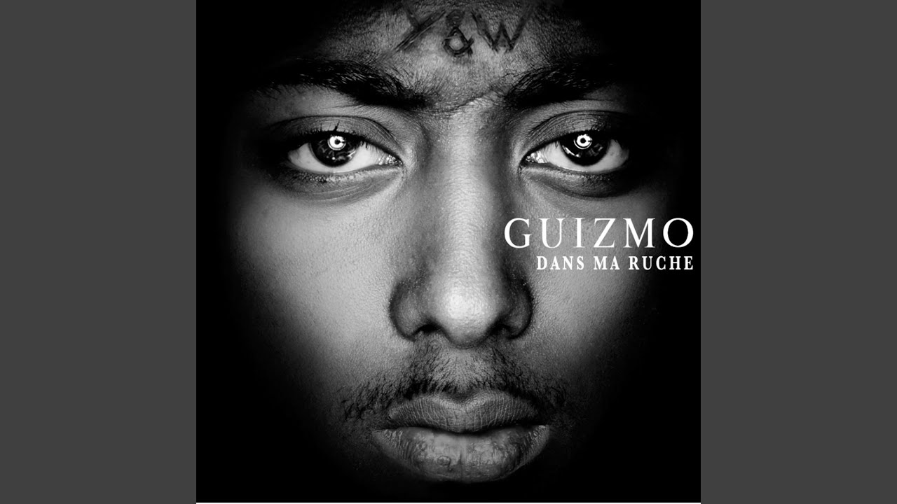 Guizmo - Dans Ma Ruche