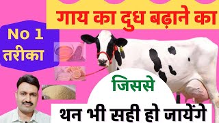 How to increase cow's milk production, home remedies which will also improve the cow's udder Ramawat screenshot 5