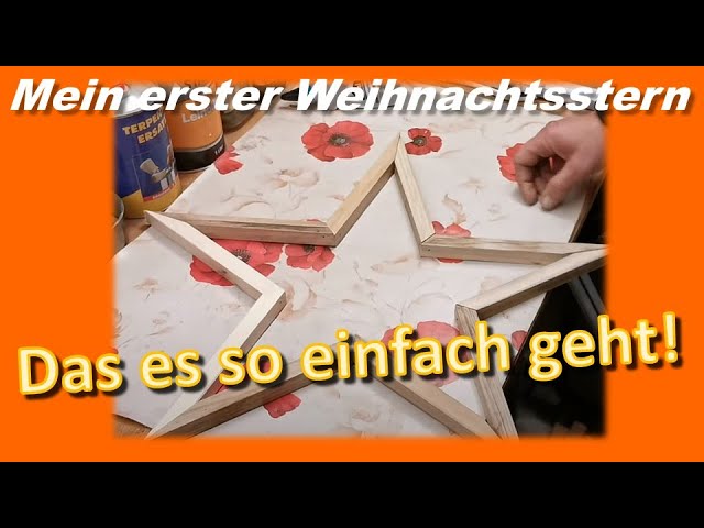 zimmerpflanze kastanie Pachira aquatica - Glückskastanie Ø:21 H:80 cm - Pflanzen sicher zu dir  nach Hause
