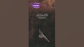#qurankareem #peaceful #quransurah #اكسبلور #تلاوة_خاشعة #طمأنينة_القرآن #راحة_نفسية