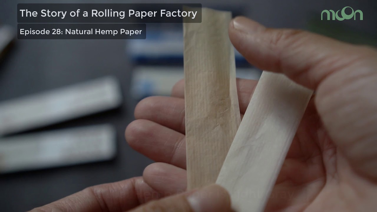 Is Natural Hemp Rolling Paper Brown?! Find Out Here | Rolling Paper Factory Stories | E28