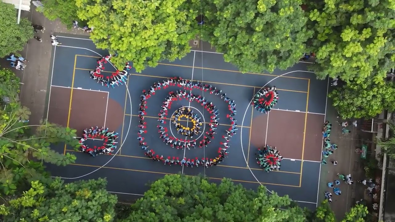 Biểu diễn đồng diễn TiH Nguyễn Thái Sơn (năm học 2024-2025)