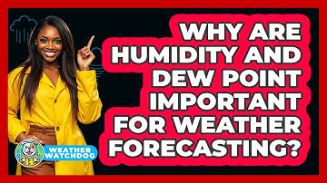 Why Are Humidity And Dew Point Important For Weather Forecasting? - Weather Watchdog