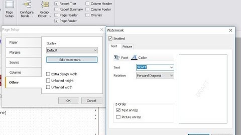 FastReport .NET Demo: Watermark + Cover page