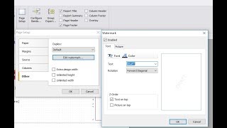 FastReport .NET Demo: Watermark + Cover page