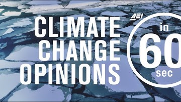 Climate change: What do Americans think? | IN 60 SECONDS