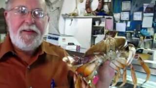 Crab in Redding