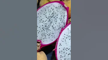 May Kulay Puti Ang Laman Kabaros Channel 